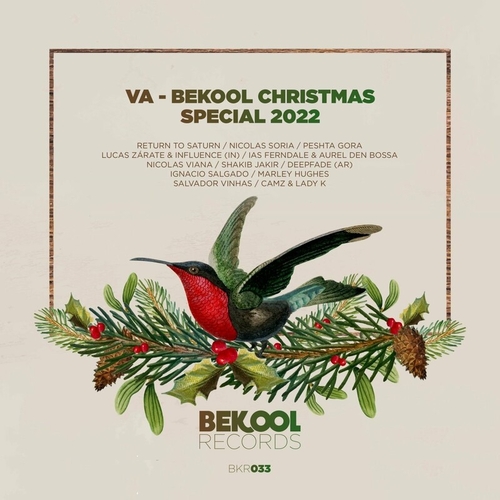 VA - Bekool Christmas Special 2022 [BKR033]